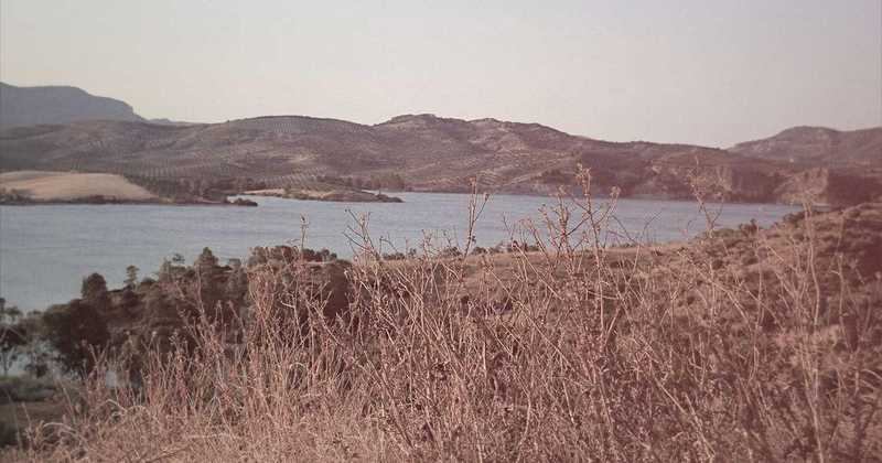 Burocrazia italiana: il vero ostacolo allo sviluppo e all’innovazione