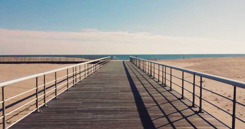 Crisi dell’agricoltura italiana: tra burocrazia e multinazionali, un settore allo stremo