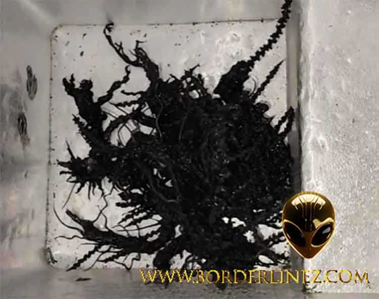 Il Meteorite Alieno di Panama