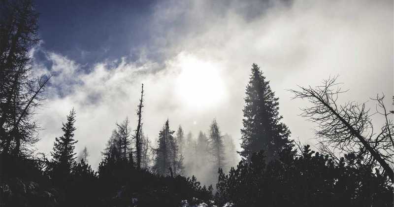 Il successo artificiale dei cantanti da reality: talento o solo gossip?