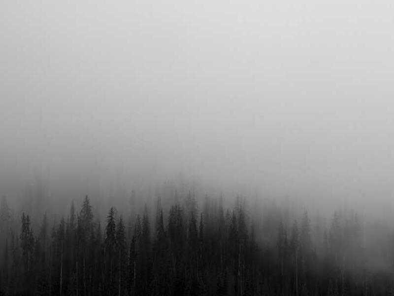 La Privatizzazione delle Autostrade: Il Tradimento dello Stato verso i Cittadini