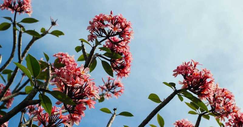 Liti social tra celebrità: realtà o spettacolo per follower?