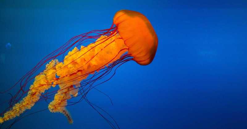 Pensioni: il paradosso di chi lavora di più e viene penalizzato