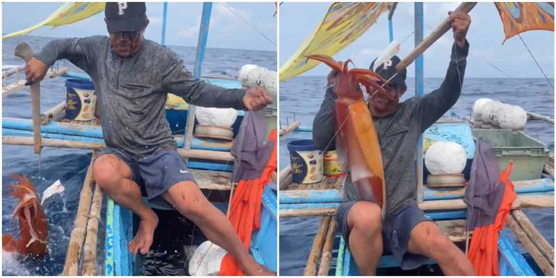 “Ha mirato benissimo”: pescatore cattura un calamaro gigante ma l’animale si ribella e lo inonda di inchiostro – VIDEO