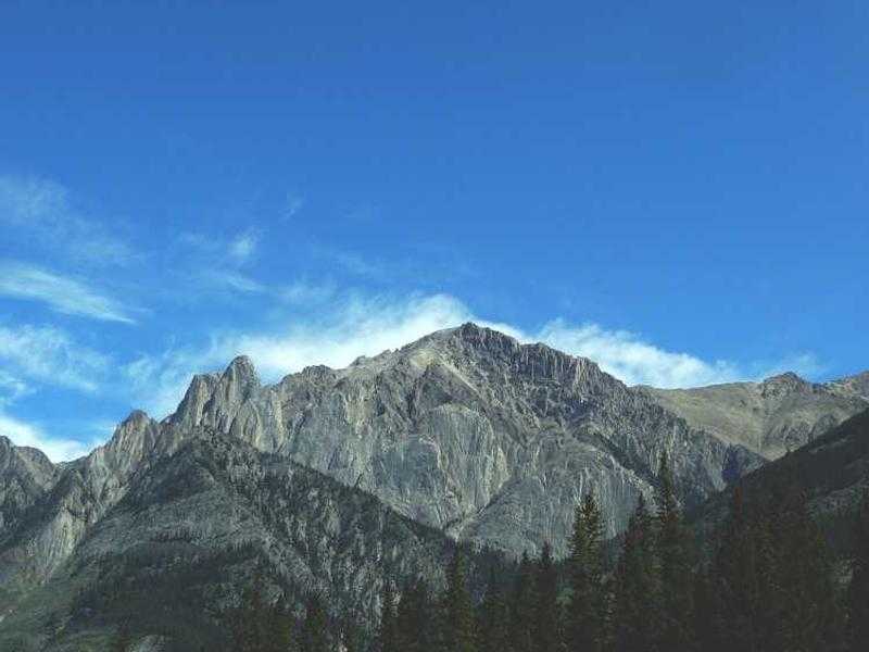 Cinque metodi infallibili per somministrare le medicine ai gatti