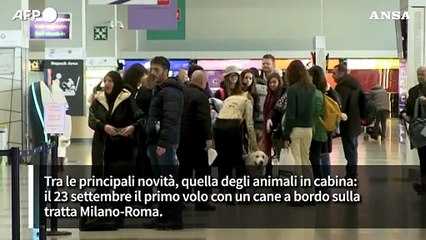 Dai cani in cabina ai bagagli, le novita' sugli aerei