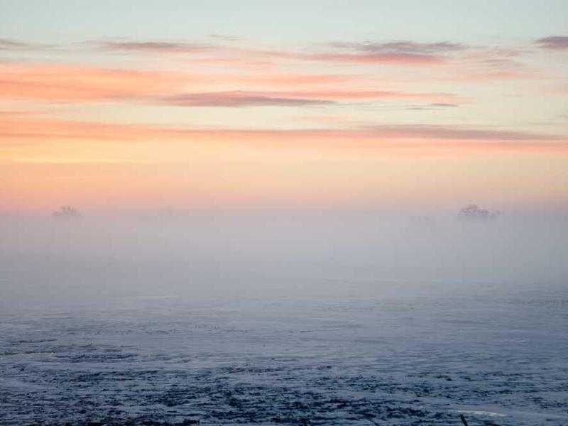 Tulsa King: Sylvester Stallone torna protagonista in una serie crime avvincente