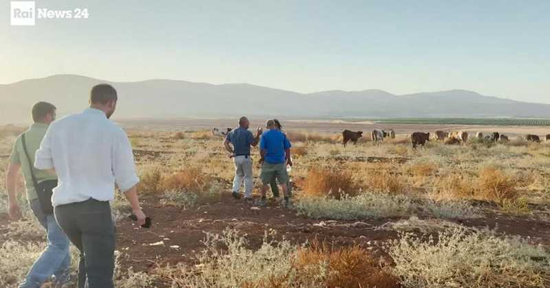 Bardala, Cisgiordania: i coloni israeliani espropriano con violenza i campi di un contadino