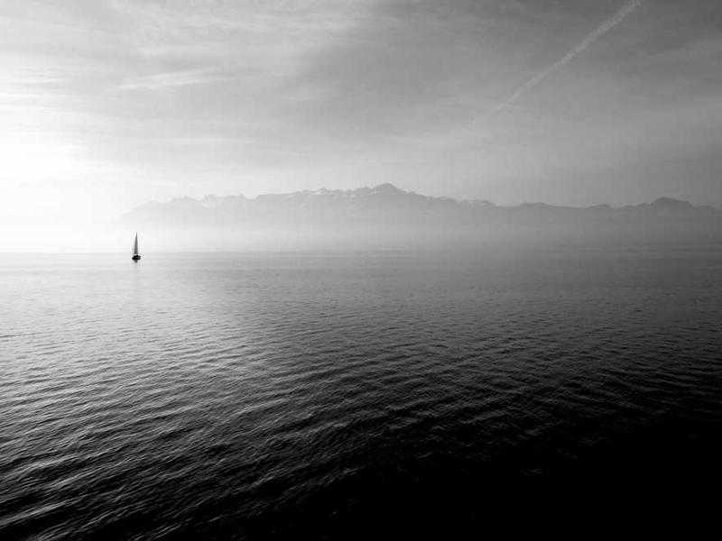 Diritto di Sciopero e di Manifestazione: Fondamenti, Normative e Implicazioni