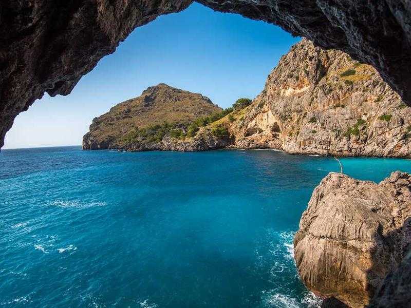 Erika Kirk: Imprenditrice Sociale, Filantropa e Voce di Fede