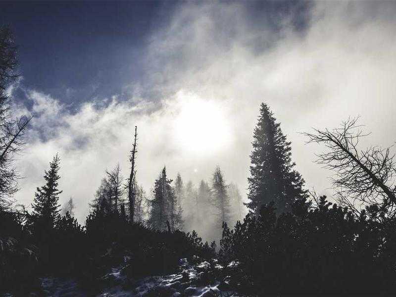 Il Caso Milena Sutter: Un Mistero di Cronaca Nera a Cinquant'Anni di Distanza