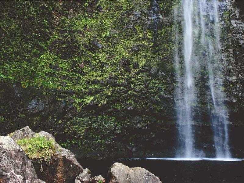 Maria Grazia Cucinotta: un'icona del cinema italiano e internazionale
