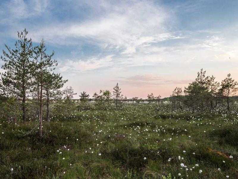 Perché ABC ha sospeso Jimmy Kimmel: lo scandalo che tutti stanno cercando di nascondere