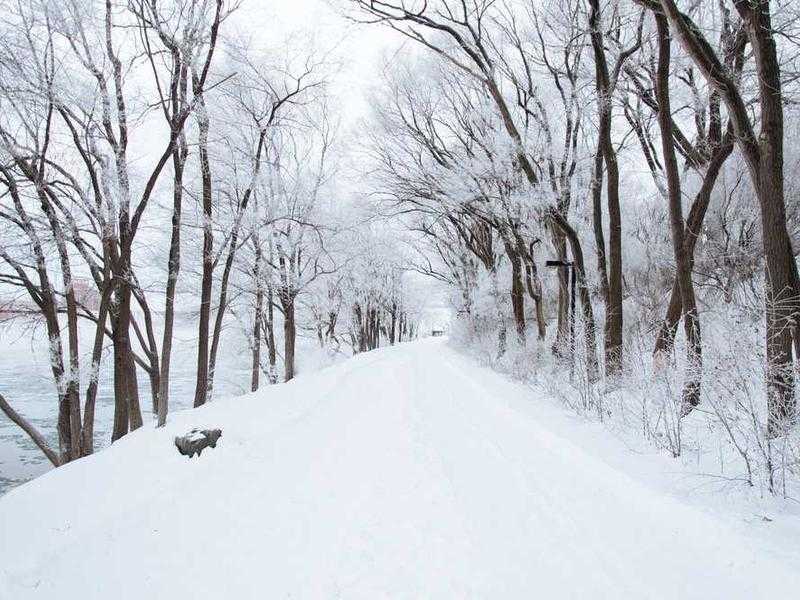 Silent Hill f: Un Nuovo Capitolo del Survival Horror Ambientato nel Giappone degli Anni '60