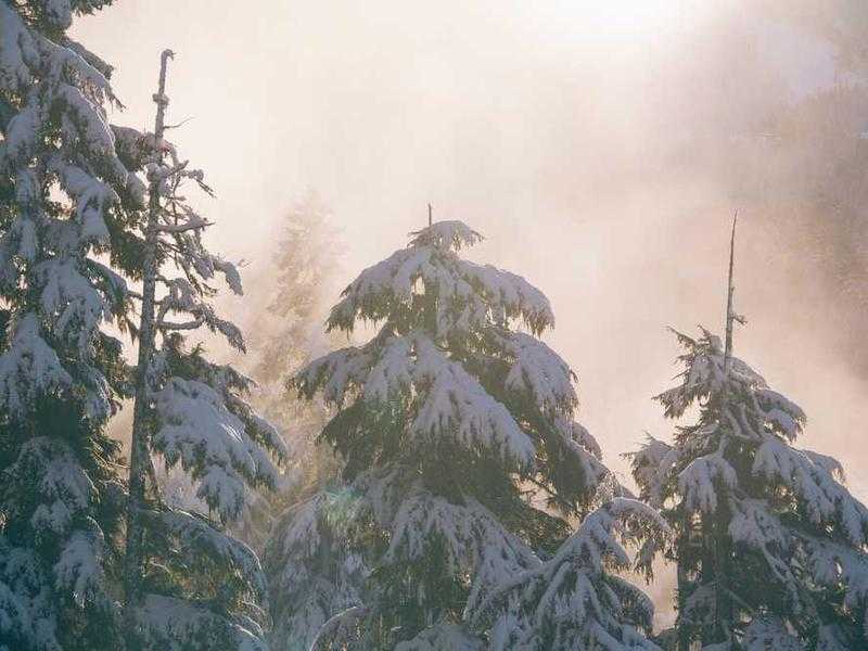 Differenze tra Grana Padano e Parmigiano Reggiano: due eccellenze italiane a confronto