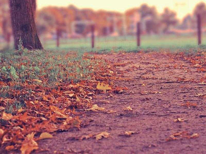 Eurovision 2026: Cantanti, Partecipanti e Pronostici per la Grande Sfida di Vienna