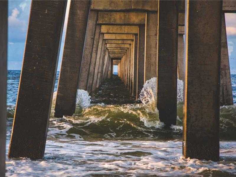 La storia del tonno in scatola: dalle origini antiche alle conserve moderne