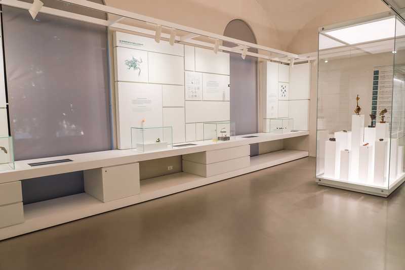 La storia di Chico Forti: dallo sport alla controversa condanna negli Stati Uniti