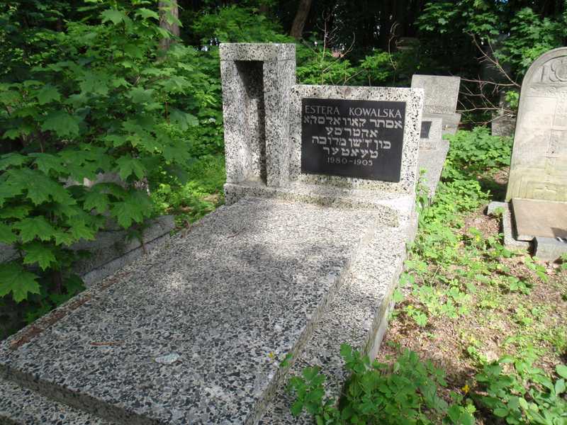 Storia e origini dell'organizzazione politica Hamas