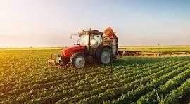 Prezzi troppo bassi e clima avverso: nell’Alessandrino perse mille aziende agricole in cinque anni