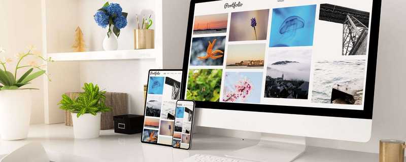 IONOS: crea il tuo sito web gratuito e apri nuove porte al lavoro