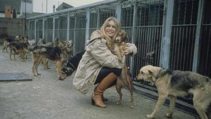 Brigitte Bardot operata a Tolone: condizioni di salute preoccupanti per l’icona del cinema francese