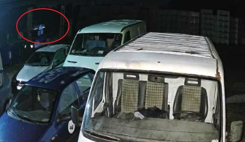 Rubati a Balestrate 800 litri di olio extravergine destinati alla Germania