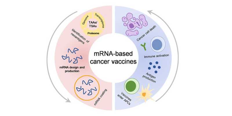 Il vaccino mRNA e la rivoluzione nella lotta contro il cancro