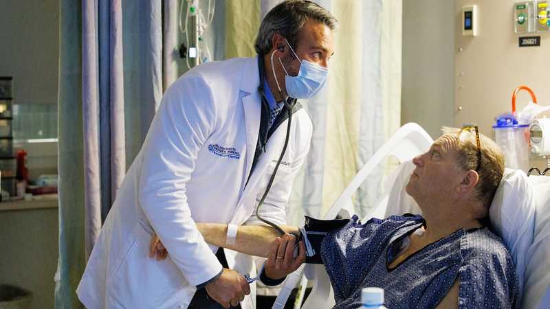 Trapianto record di rene di maiale apre nuove frontiere mediche