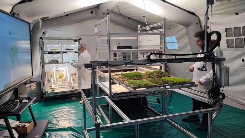 Serre e orti spaziali: l’innovazione ENEA per il futuro