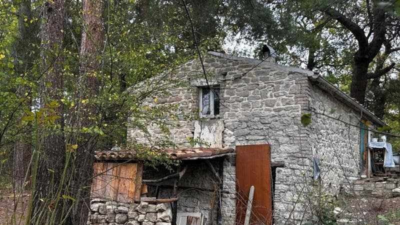 Padre nel bosco: "Natura scelta, non follia. Torneremo