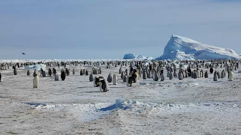 Nuova Spedizione Italiana in Antartide: Obiettivo Futuro