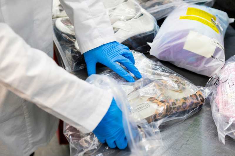 Black Friday, allarme Greenpeace: chimici tossici negli abiti Shein