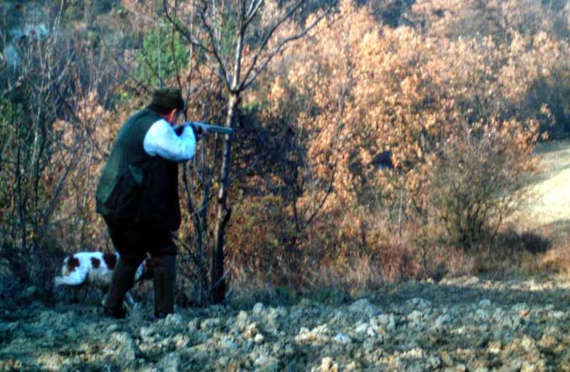 Caccia: Regione Lombardia sommersa da 37 cause in 7 anni