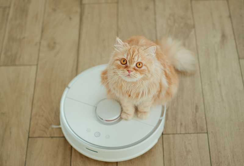 Lavapavimenti: Guida all'acquisto intelligente durante il Black Friday