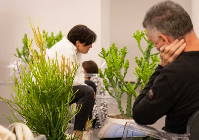 L'Arte Vegetale: Le Piante, Maestri di Memoria e Apprendimento