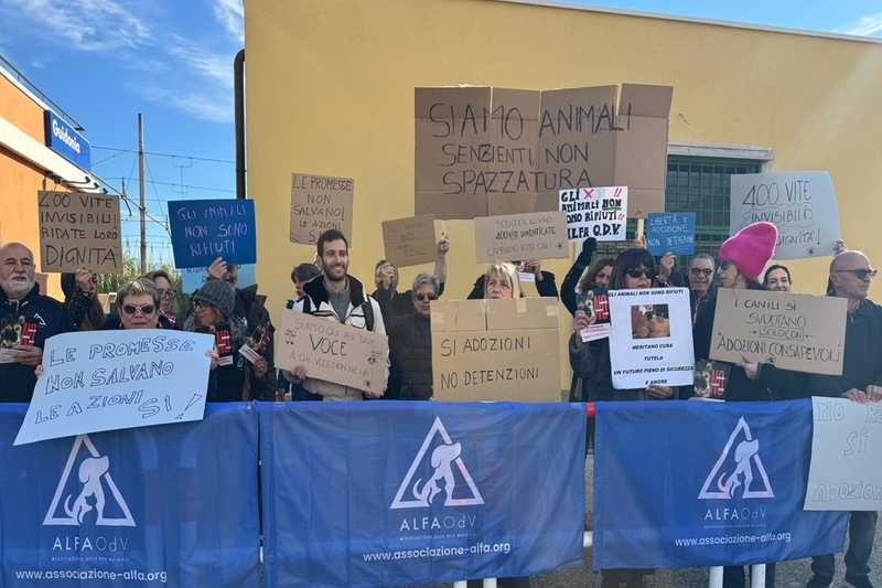 Sit-in Animalista a Guidonia: Sindaco Incontra l'Associazione Alfa