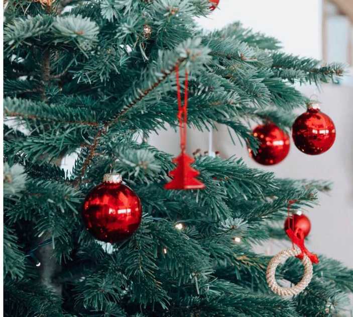 Natale a Mioglia: Pace, Musica e Tradizione