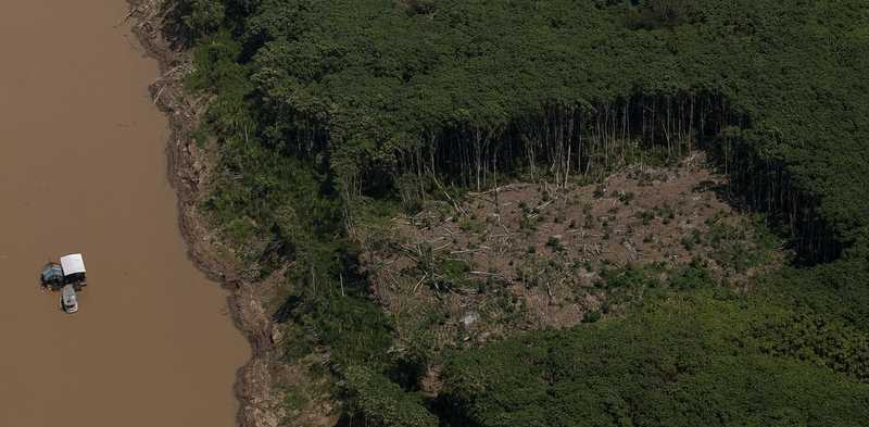 L'Amazzonia: Crisi e Sfruttamento di un Polmone Vitale