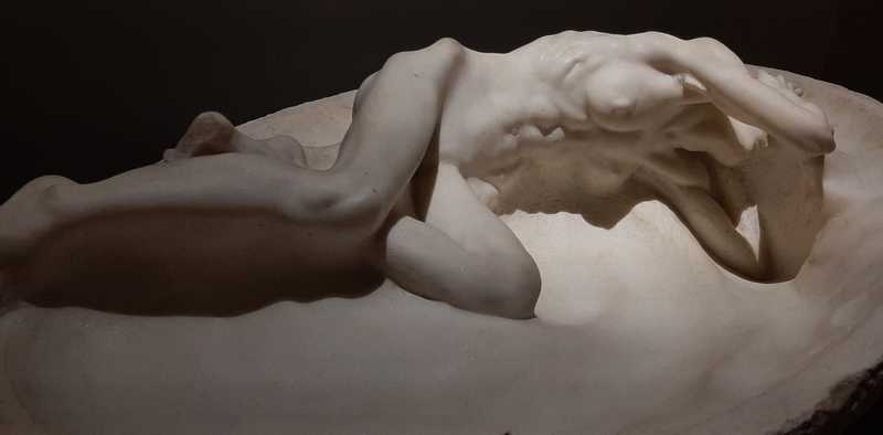 Indagine sul Dolore: Comprendere, Valutare e Gestire un'Esperienza Universale