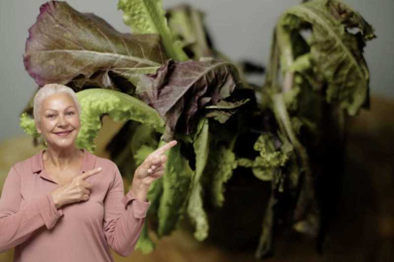 Lattuga Appassita: Il Trucco della Nonna per Farla Tornare Croccante con Solo un Po’ d’Acqua