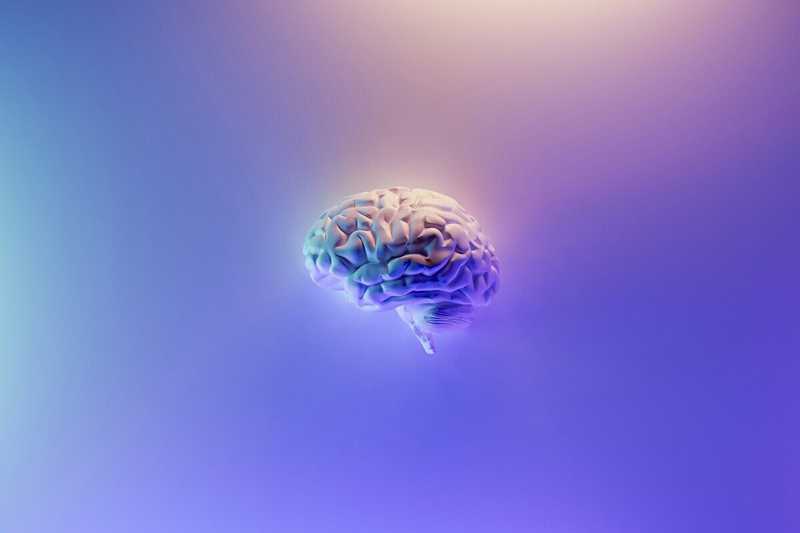 Le arachidi possono migliorare la memoria dopo i 60 anni?