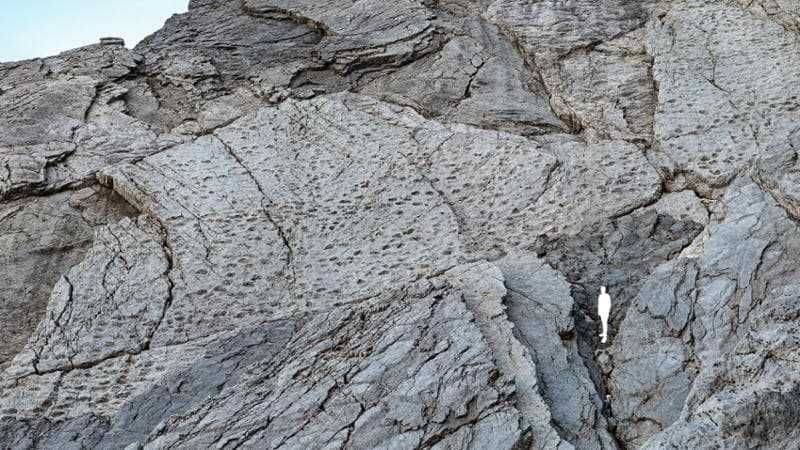 Stelvio, la valle dei dinosauri: migliaia di orme fossili