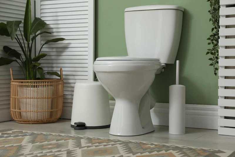 Addio Brida: Il WC Rimless che Rivoluziona il Bagno