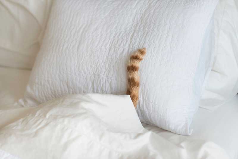 I migliori topper rinfrescanti: 11 modelli per dormire fresco