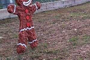 Furto di addobbi natalizi a Borgo Santa Maria