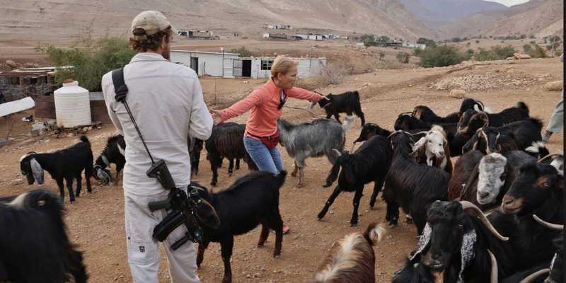 Volontari Umani Bloccano Coloni Armati: L'Ultima Barriera a Ras Ein al-Auja