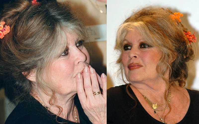 Addio a Brigitte Bardot: la malattia, i ricoveri e l'ultimo messaggio