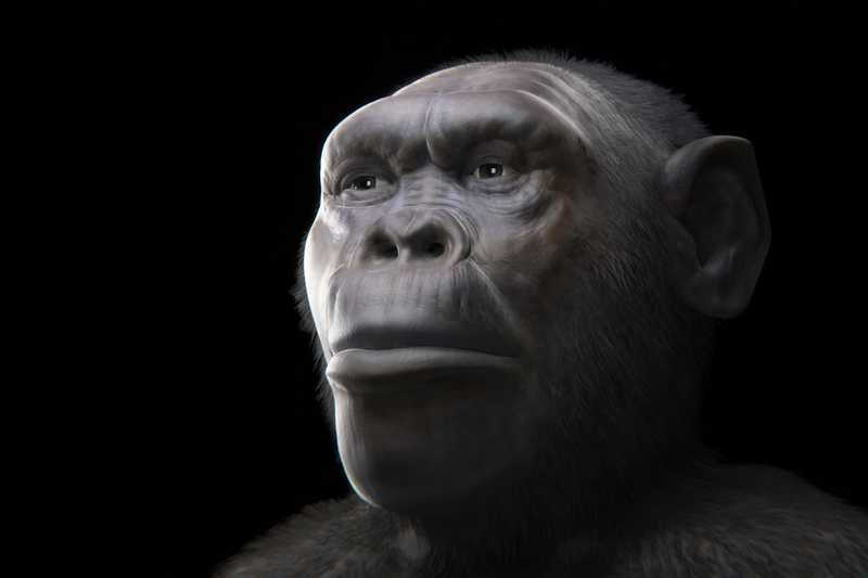 L'Uscita dall'Africa: Un'Epopea Migratoria con Più Protagonisti?