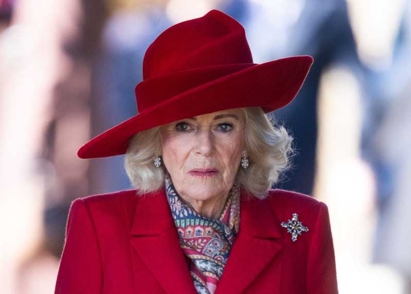 Camilla, l'Orrore sul Treno: Colpì l'Attaccabrighe con una Scarpa